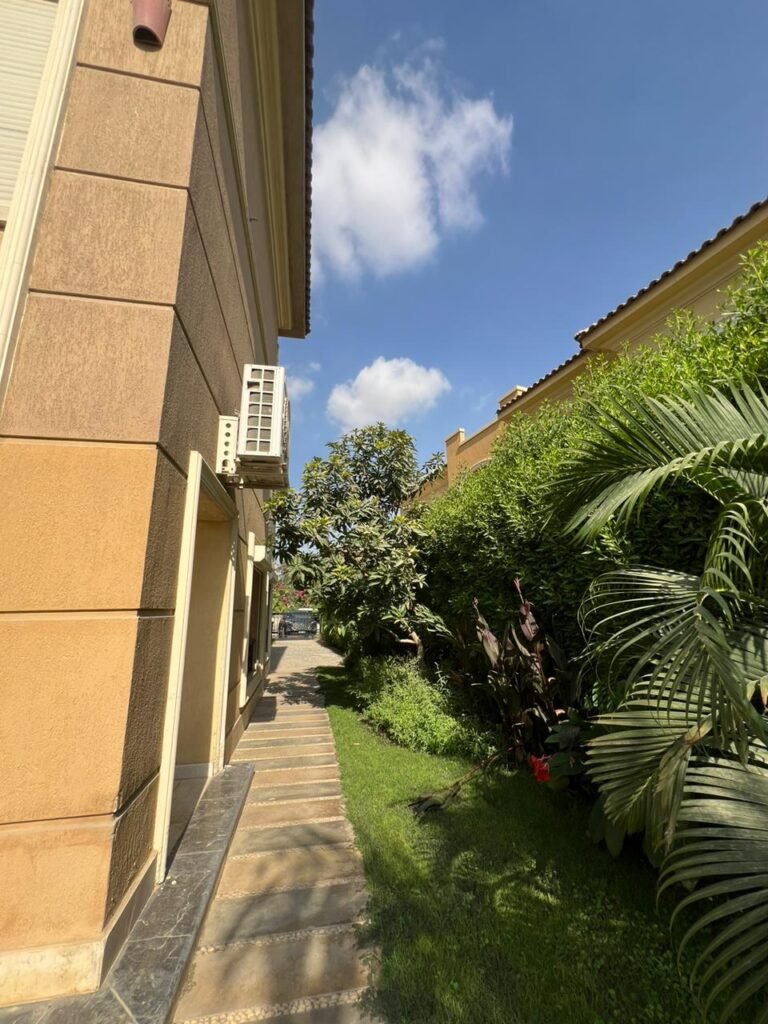 WhatsApp Image 2025-05-19 at 15.36.35 (1)