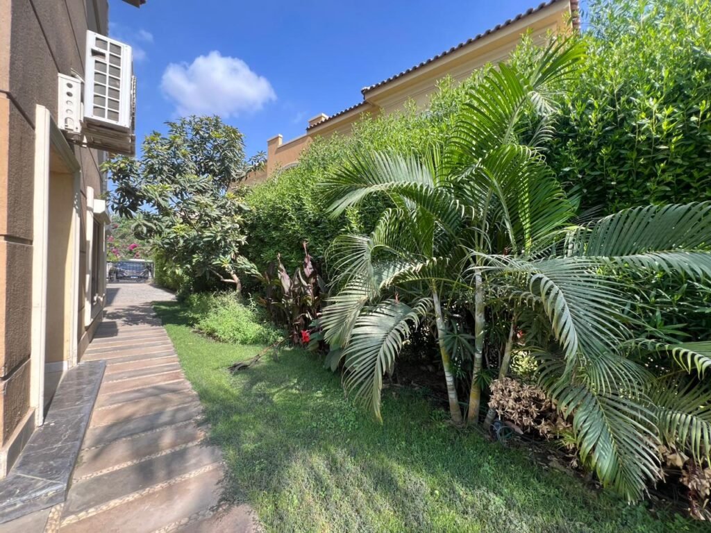 WhatsApp Image 2025-05-19 at 15.36.36