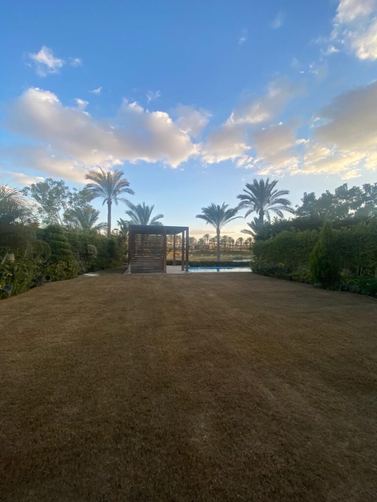 WhatsApp Image 2025-05-22 at 16.16.26 (1)