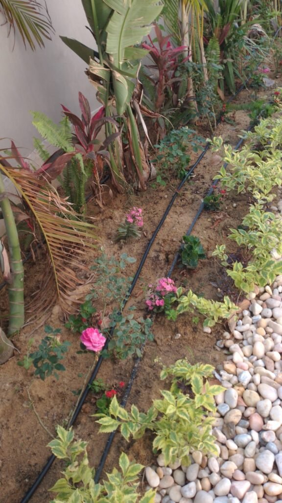 WhatsApp Image 2025-05-22 at 16.18.02 (2)