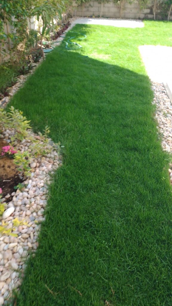 WhatsApp Image 2025-05-22 at 16.18.03 (1)