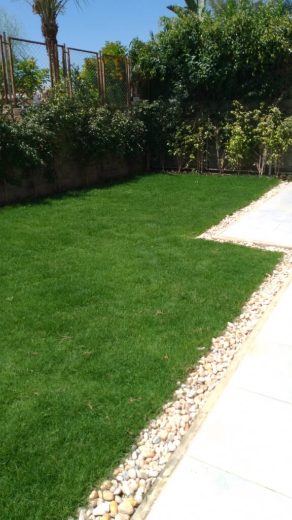 WhatsApp Image 2025-05-22 at 16.18.03 (2)