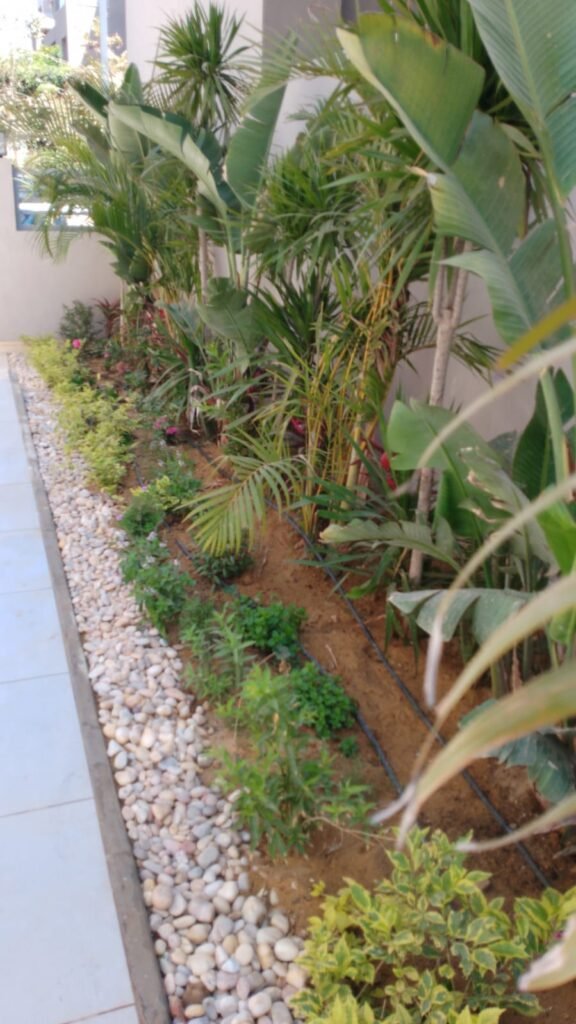 WhatsApp Image 2025-05-22 at 16.18.04 (1)